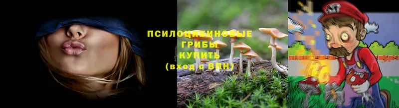 дарнет шоп  Лагань  Псилоцибиновые грибы MAGIC MUSHROOMS 